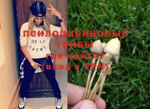 молекула духа Переславль-Залесский