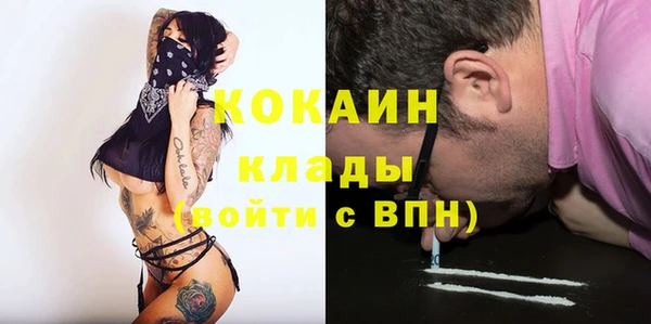 Альфа ПВП Пересвет