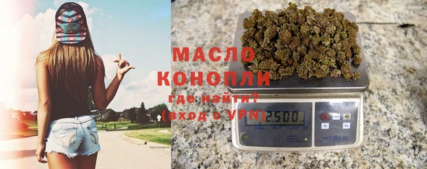 шишки Дегтярск