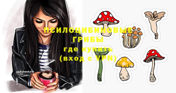 твердый Пестово