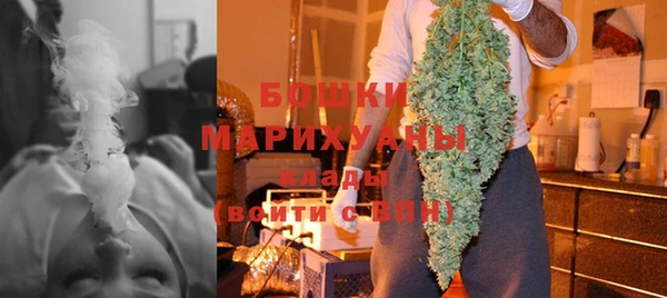 Альфа ПВП Пересвет