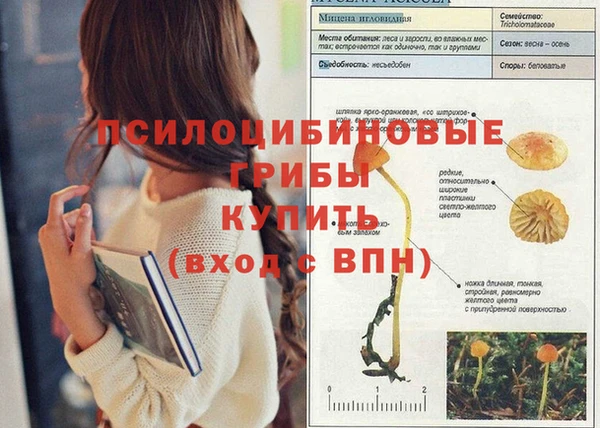 твердый Пестово