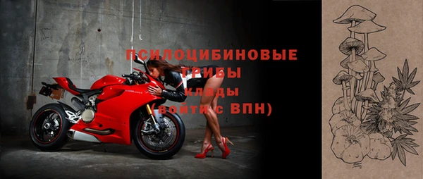 Альфа ПВП Пересвет