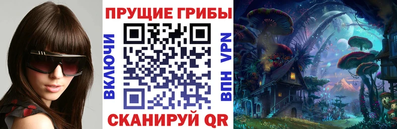 Галлюциногенные грибы прущие грибы  Медынь 